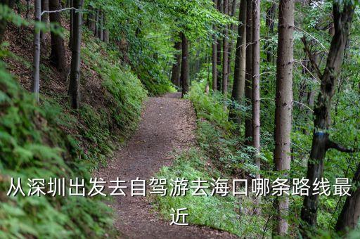 从深圳出发去自驾游去海口哪条路线最近