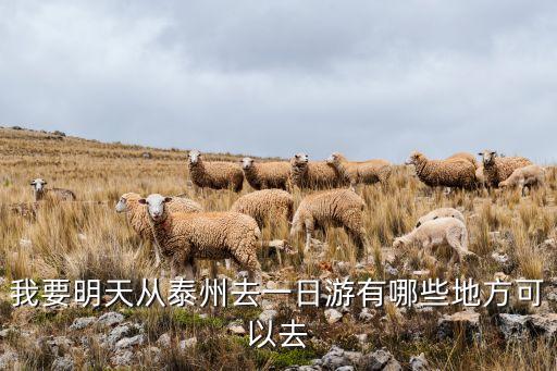 我要明天从泰州去一日游有哪些地方可以去