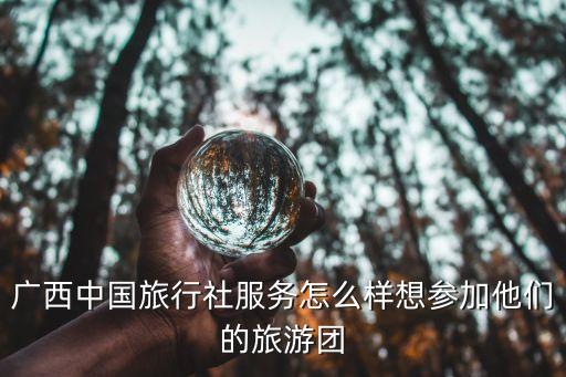 广西中国旅行社服务怎么样想参加他们的旅游团