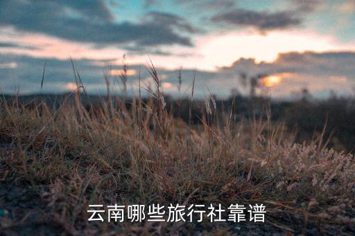 云南比较出名的旅行社，云南哪些旅行社靠谱