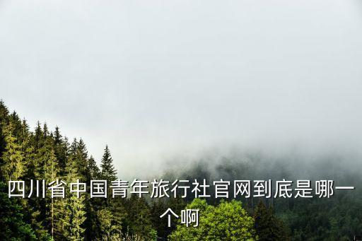 四川省中国青年旅行社官网到底是哪一个啊