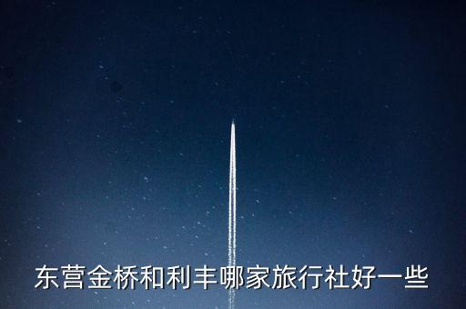 东营金桥和利丰哪家旅行社好一些