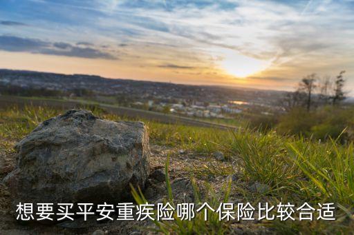想要买平安重疾险哪个保险比较合适