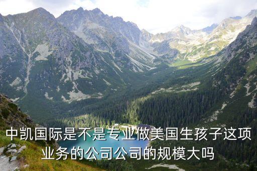 中凯国际是不是专业做美国生孩子这项业务的公司公司的规模大吗