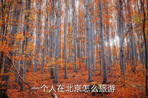 北京个人旅游攻略，北京自助旅游攻略