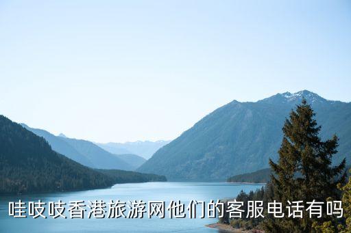 港澳旅行社电话，L签注从上海虹桥到香港办理拼团送关的旅行社电话