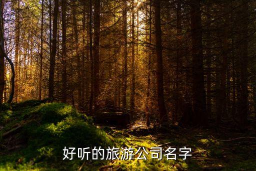 旅游公司取名字大全，帮旅行社取名