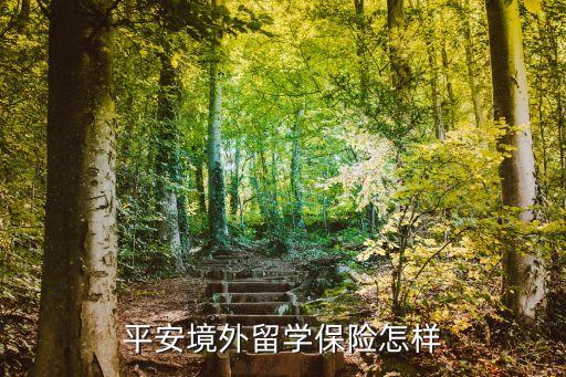 平安境外留学保险怎样