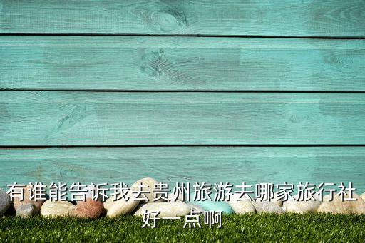 贵州旅游哪个旅行社好，贵州当地哪家旅行社的口碑好
