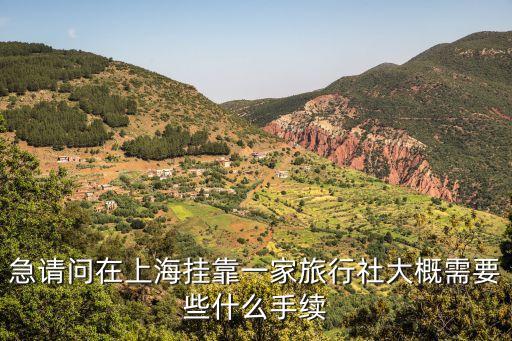 上海国际旅行社转让，急请问在上海挂靠一家旅行社大概需要些什么手续
