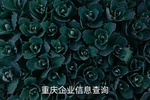 重庆企业信息查询