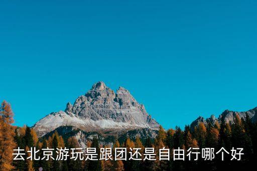 去北京跟团好还是自由行，去北京玩自己去还是跟团好
