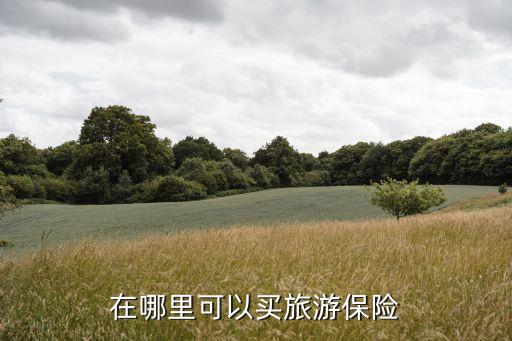 在哪里可以买旅游保险