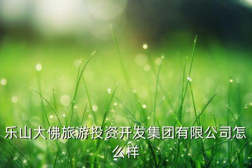 旅游投资开发有限公司，乐山大佛旅游投资开发集团有限公司怎么样