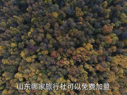 山东哪家旅行社可以免费加盟