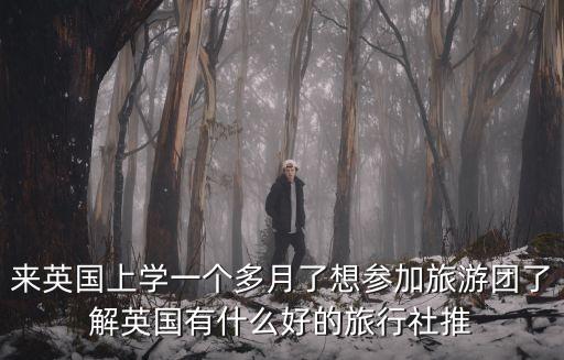 来英国上学一个多月了想参加旅游团了解英国有什么好的旅行社推