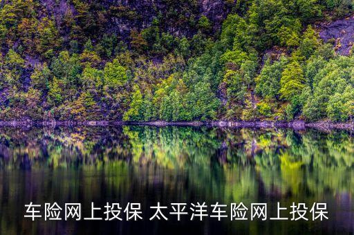 车险网上投保 太平洋车险网上投保