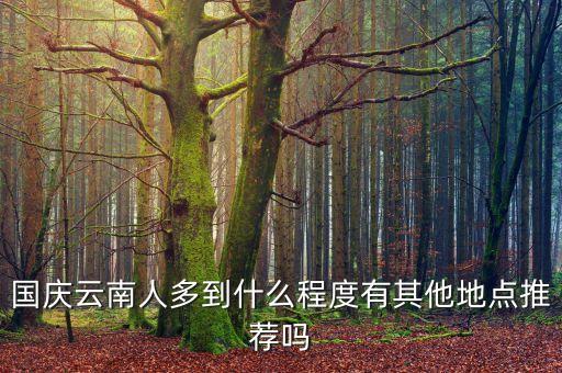 国庆云南人多到什么程度有其他地点推荐吗
