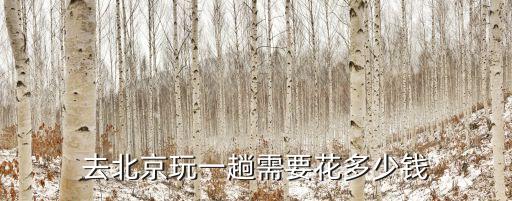去北京玩一趟需要花多少钱