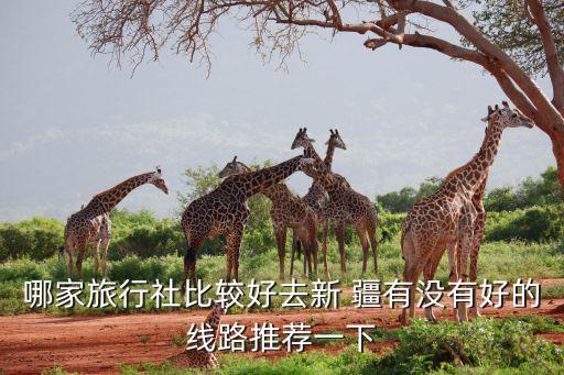 哪家旅行社比较好去新 疆有没有好的线路推荐一下