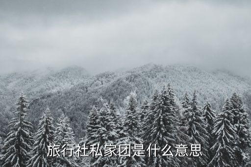 旅行社私家团是什么意思