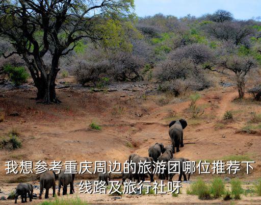 我想参考重庆周边的旅游团哪位推荐下线路及旅行社呀