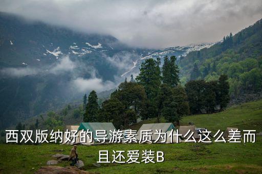 西双版纳私人导游咋样，云南旅游散客导游的评价是怎样的满意吗