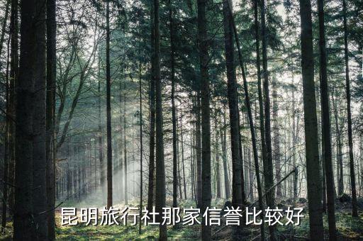 昆明旅行社那家信誉比较好