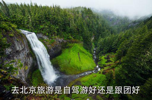去北京自驾游还是跟团，去北京自驾游好还是跟旅游团好
