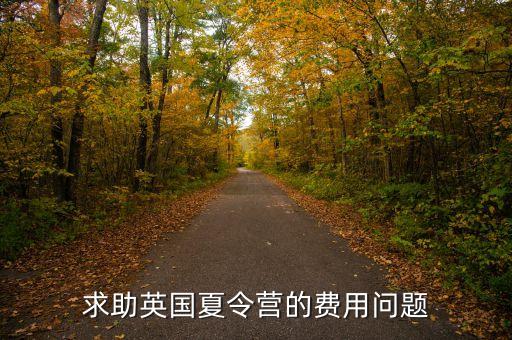 求助英国夏令营的费用问题
