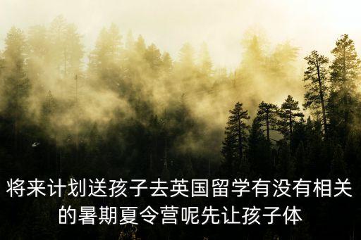 将来计划送孩子去英国留学有没有相关的暑期夏令营呢先让孩子体
