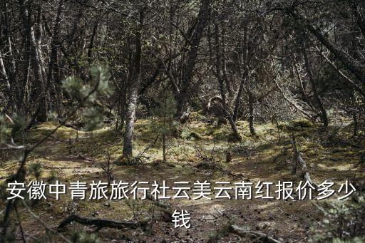 安徽中青旅旅行社云美云南红报价多少钱