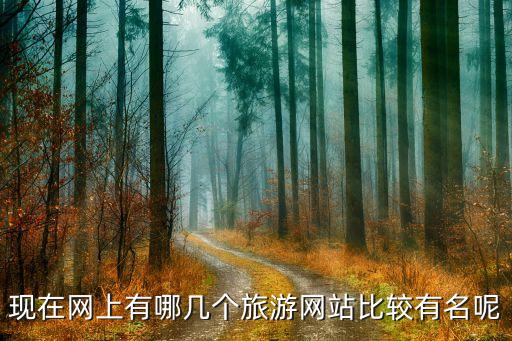 现在网上有哪几个旅游网站比较有名呢