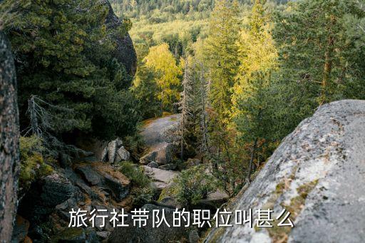 天津旅行社招聘领队，对旅行社领队有何要求及工资问题