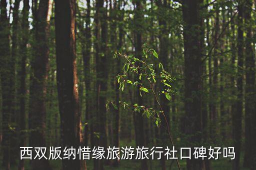 西双版纳惜缘旅游旅行社口碑好吗