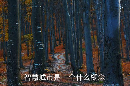 智慧城市是一个什么概念