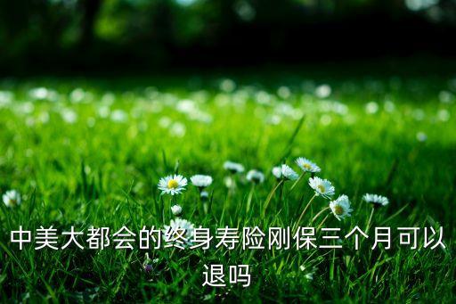 中美大都会的终身寿险刚保三个月可以退吗