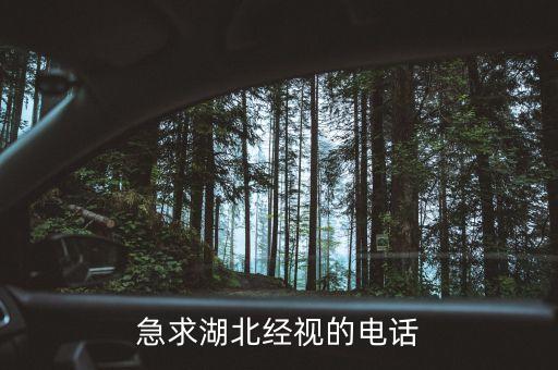 急求湖北经视的电话