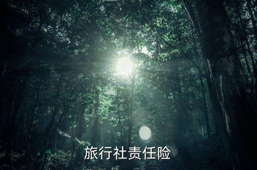旅游团保险多少钱一份，旅行社责任险