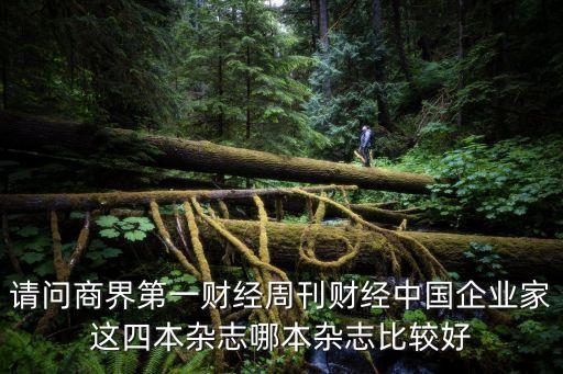 请问商界第一财经周刊财经中国企业家这四本杂志哪本杂志比较好