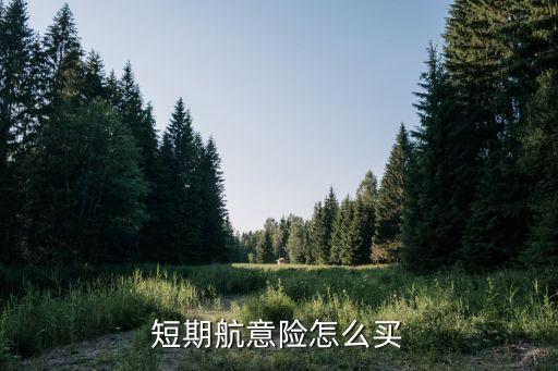 短期航意险怎么买