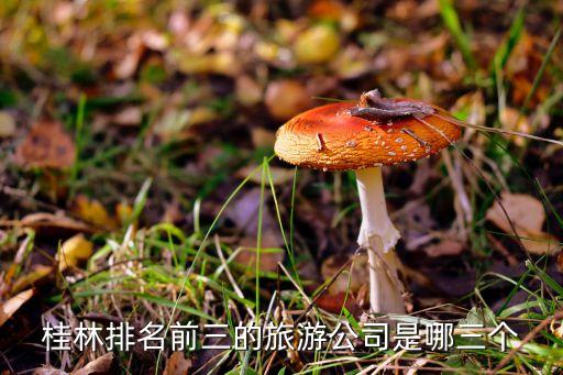 桂林排名前三的旅游公司是哪三个