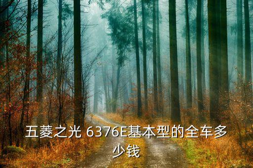 五菱之光 6376E基本型的全车多少钱