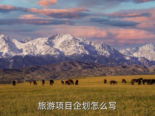 旅游业项目计划书，旅游项目企划怎么写