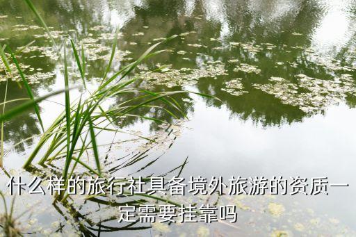 境外旅游资质，从哪里查询旅行社有没有国外游资质