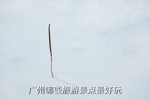 广州旅游景点排行榜前十名，广州哪些旅游景点最好玩