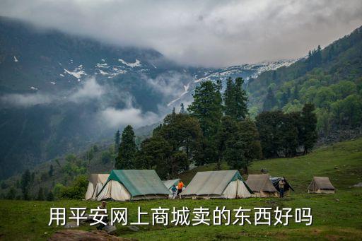 用平安网上商城卖的东西好吗