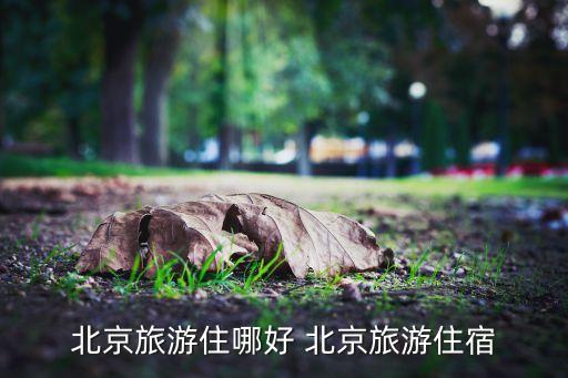 去北京旅游住宿推荐，北京比较有特色的宾馆是哪个要消费低的