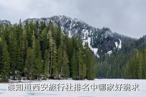 谁知道西安旅行社排名中哪家好跪求