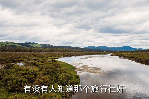 有没有人知道那个旅行社好